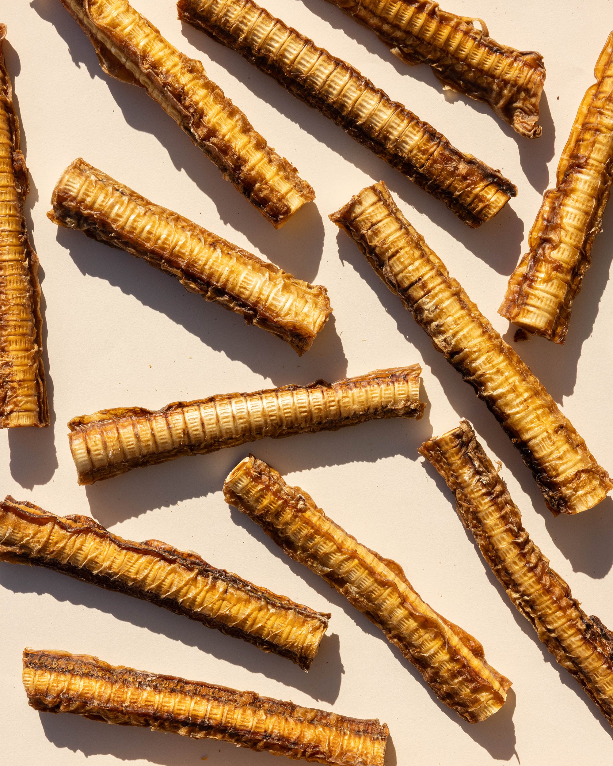 Shark Cartilage Chew