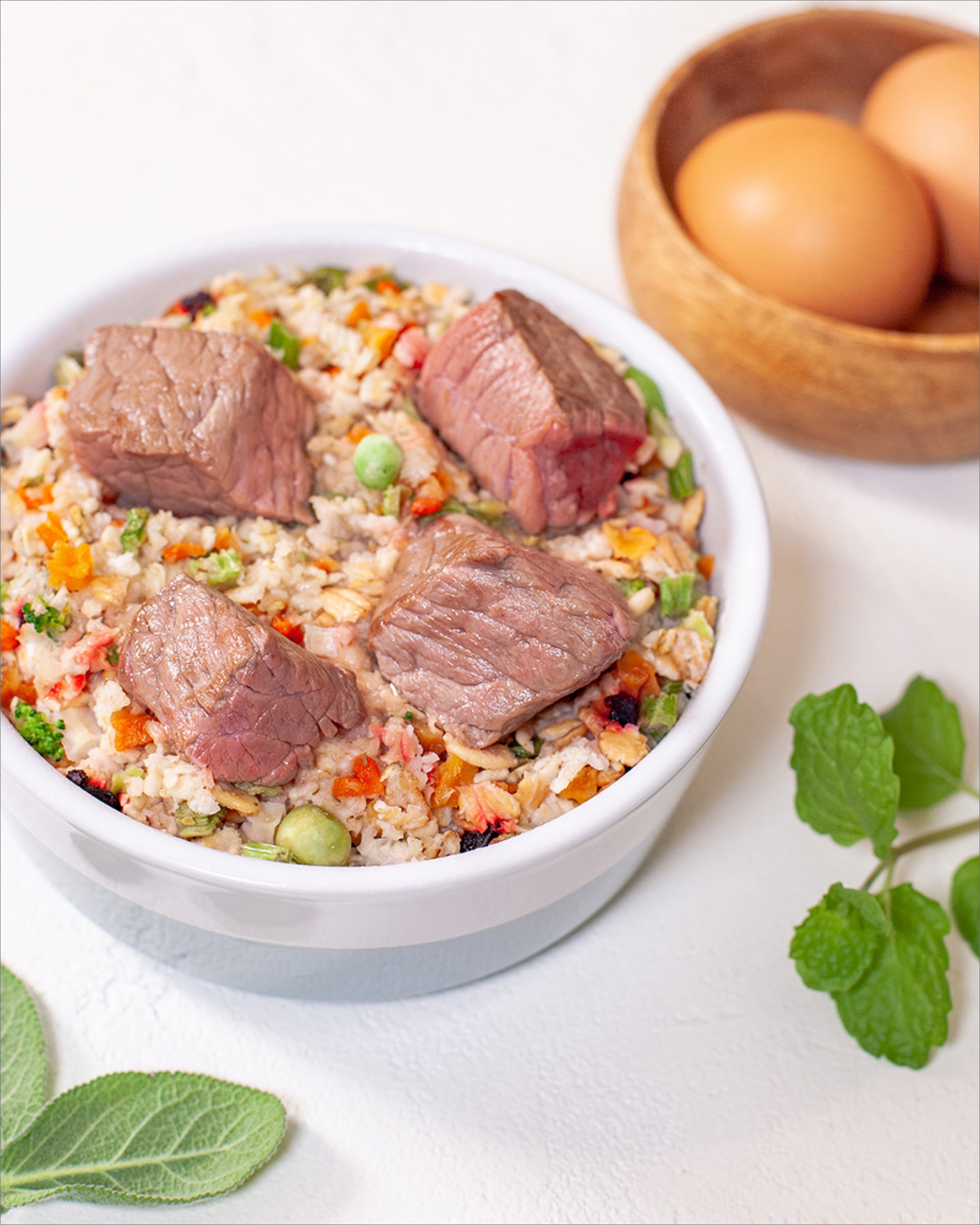 Canine Health (Miracle Dog Food)