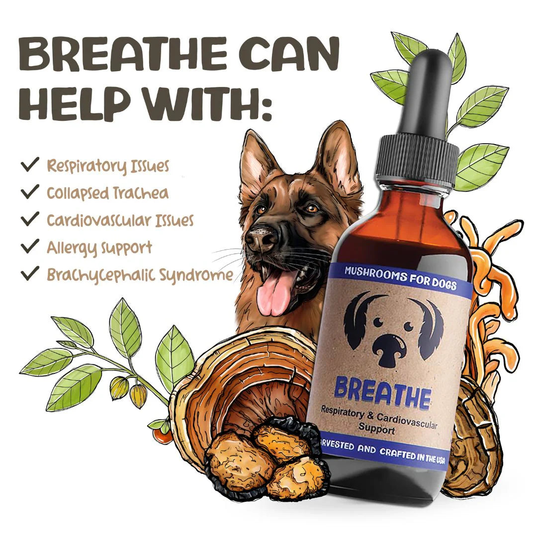 MycoDog Breathe
