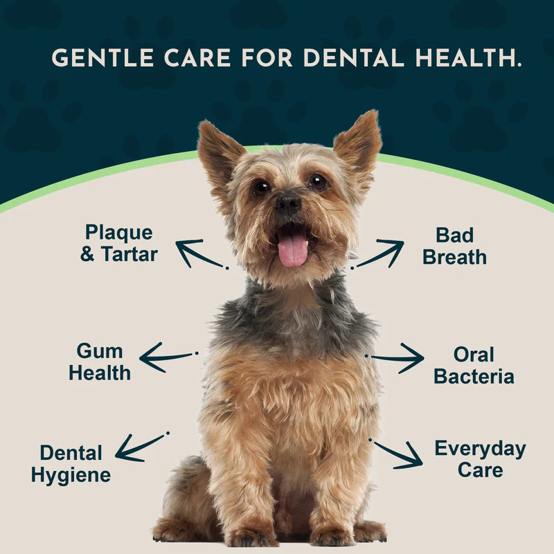 Sea-Dent Dental Support Herbal Soft Chews