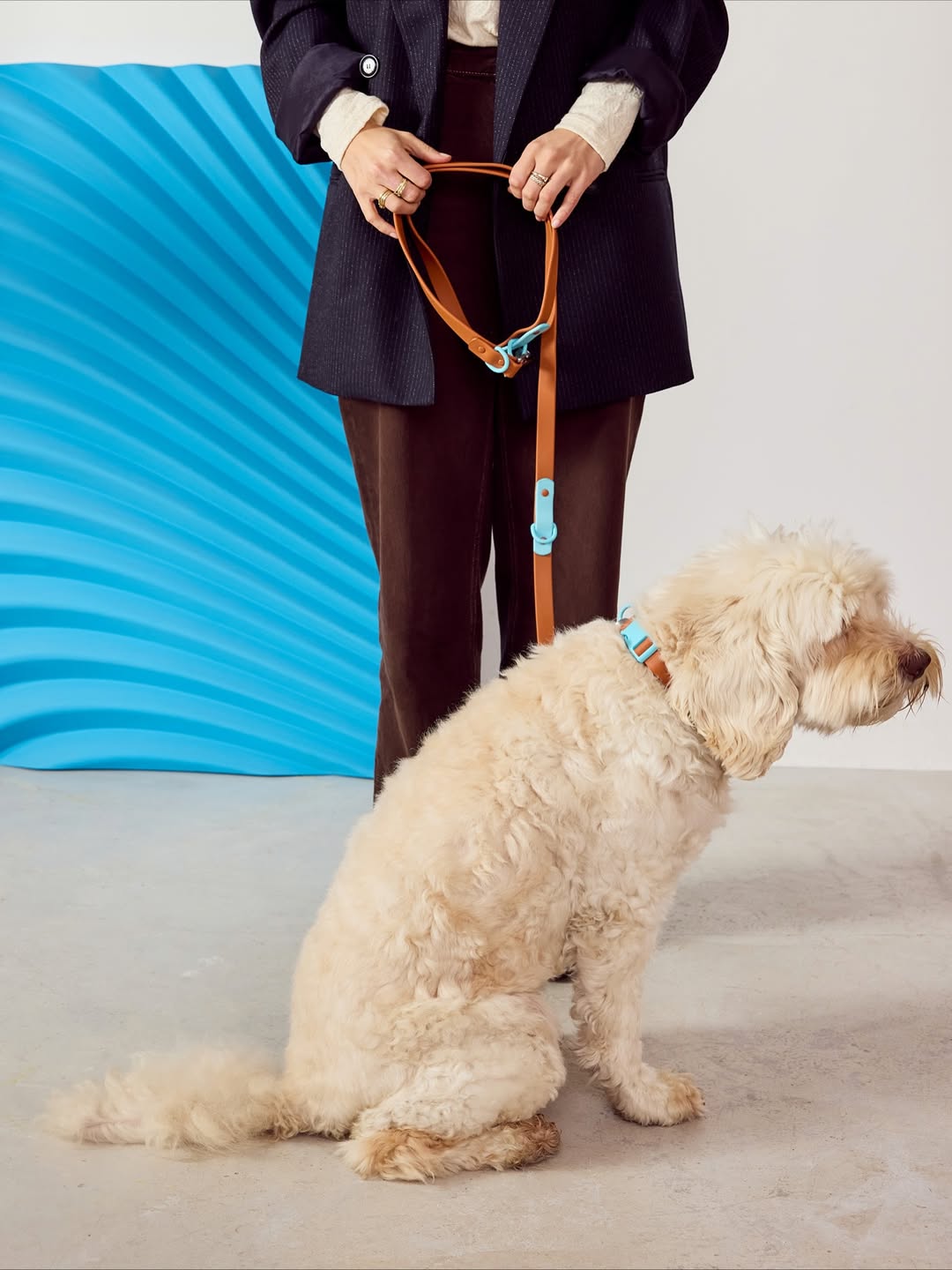 Fritz Collar + Leash Walk Set