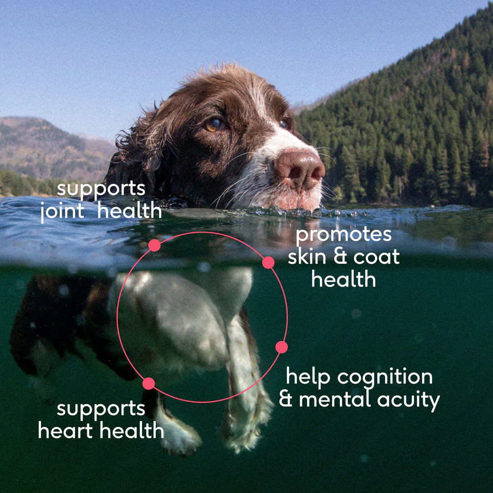 Wild-Caught Alaskan Sockeye Salmon Oil