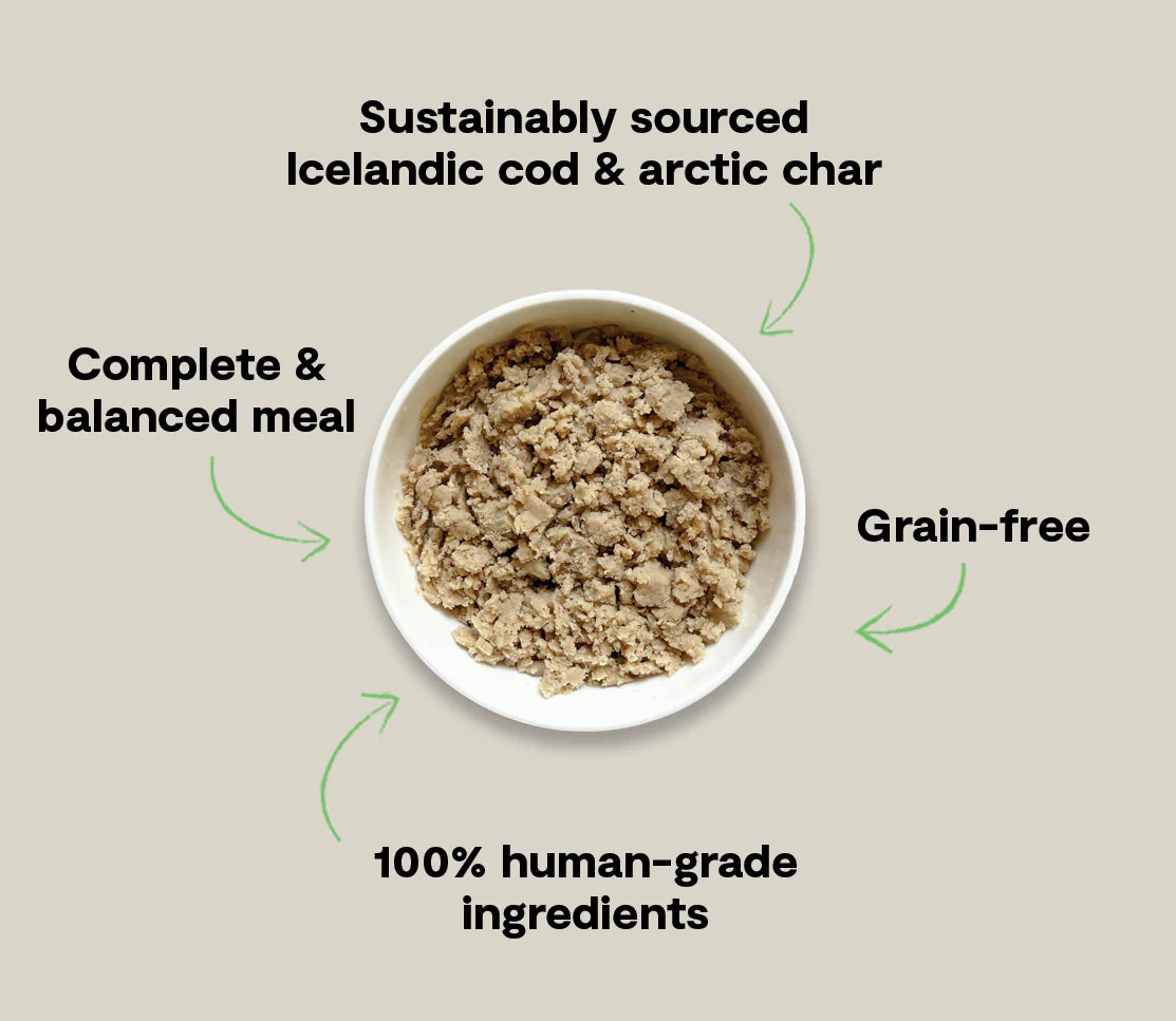 Icelandic Wet Food for Dogs