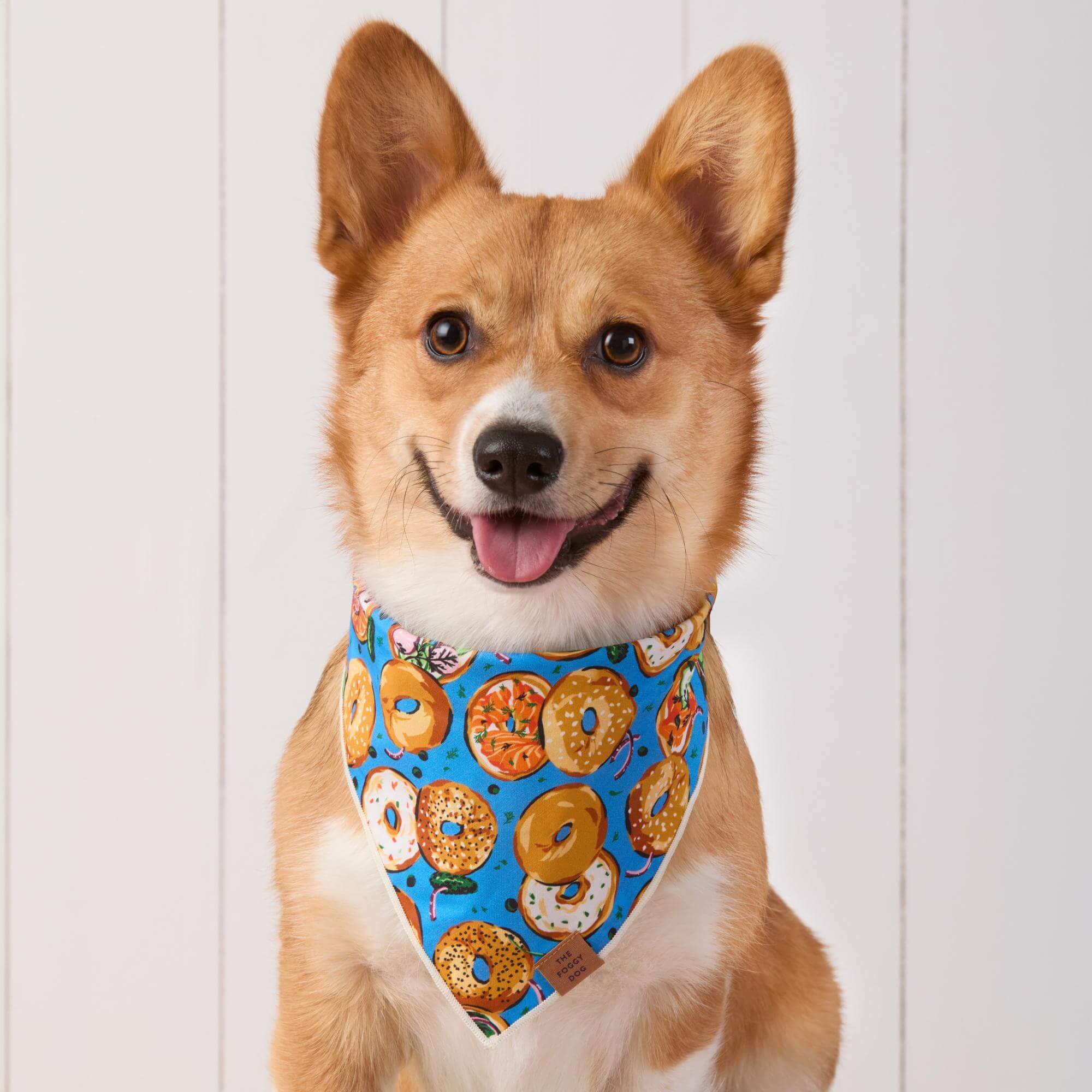 Printfresh x TFD Bagels & Schmear Dog Bandana