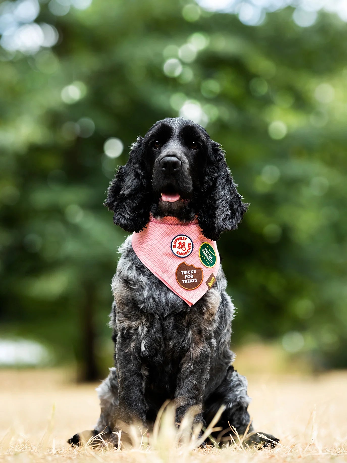 Sloppiest Smoocher (iron-on patch)