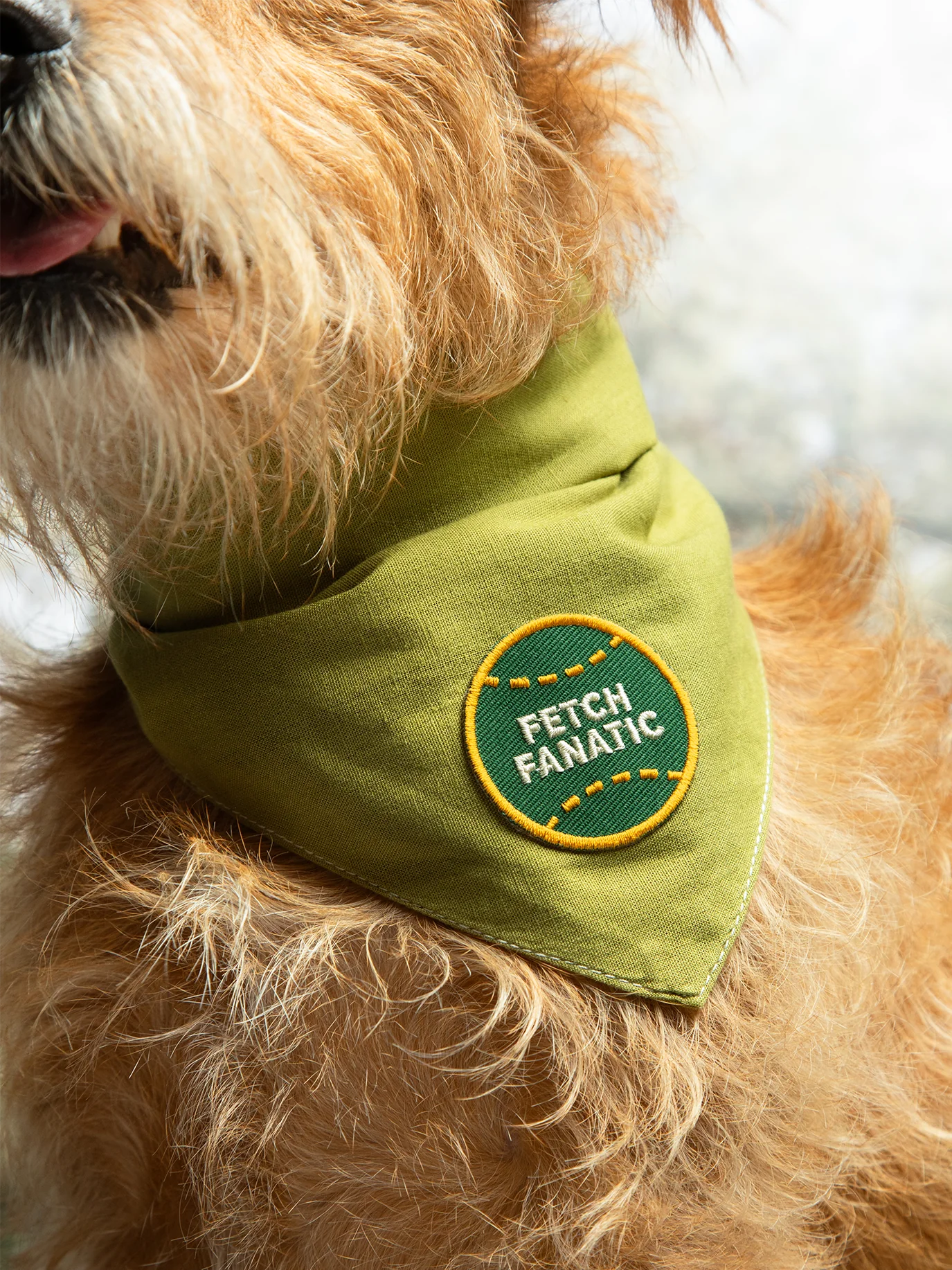 Fetch Fanatic (iron-on patch)