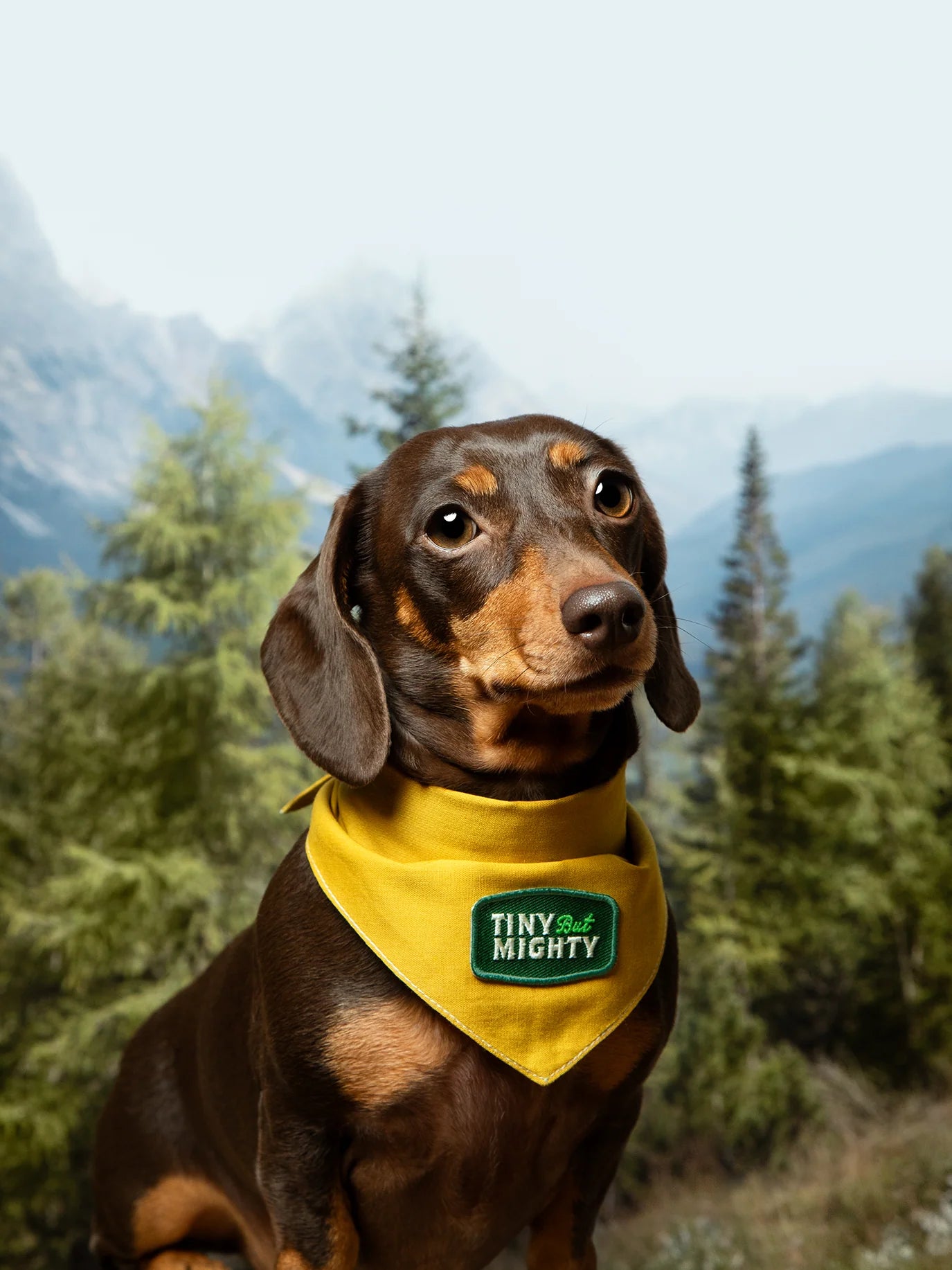 Tiny But Mighty (iron-on patch)