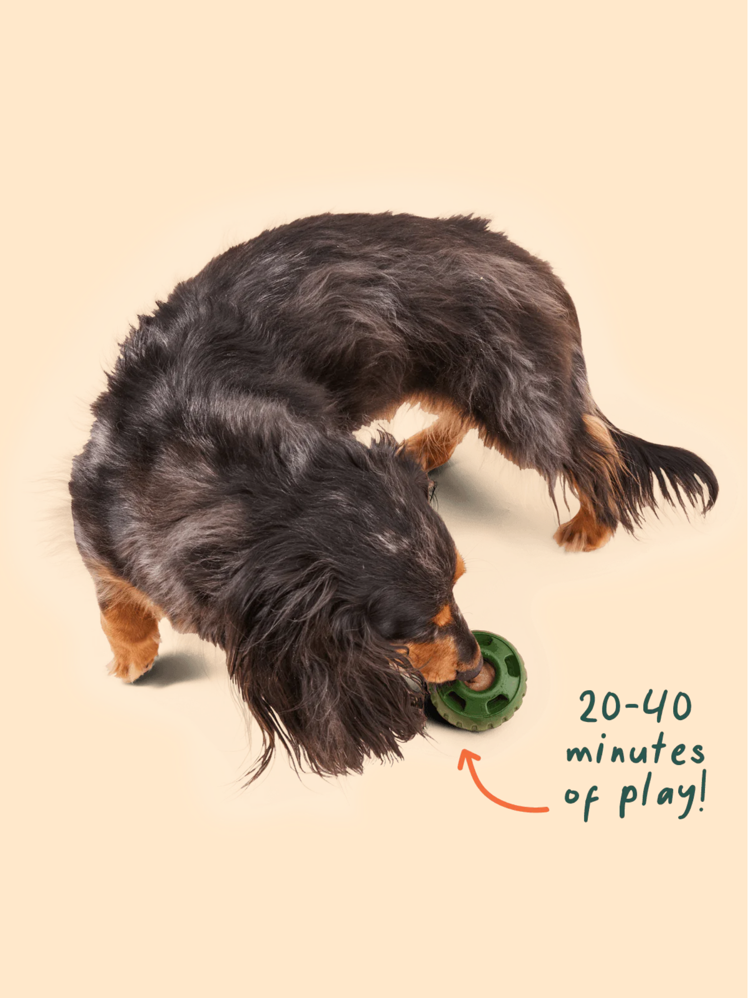 5 in 1 Vitamin Pops (Refill)