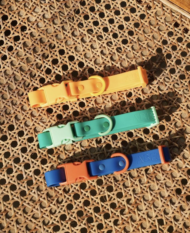 Fritz Collar + Leash Walk Set