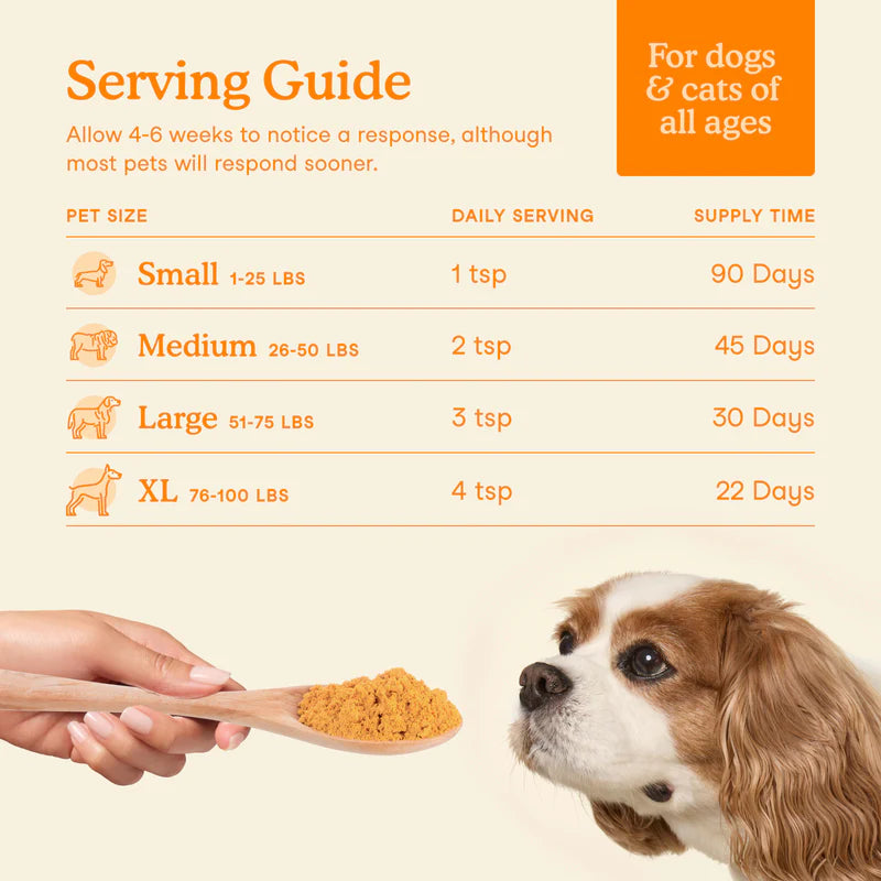 Pumpkin Plus Fiber Support