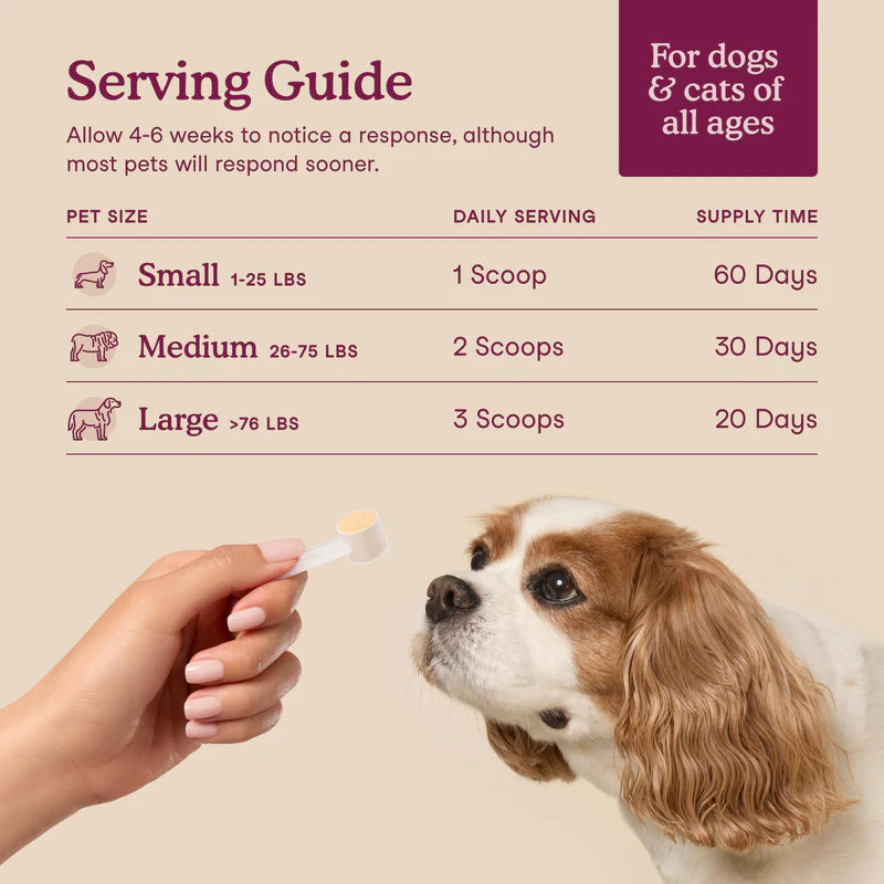Bladder Support for Dogs and Cats