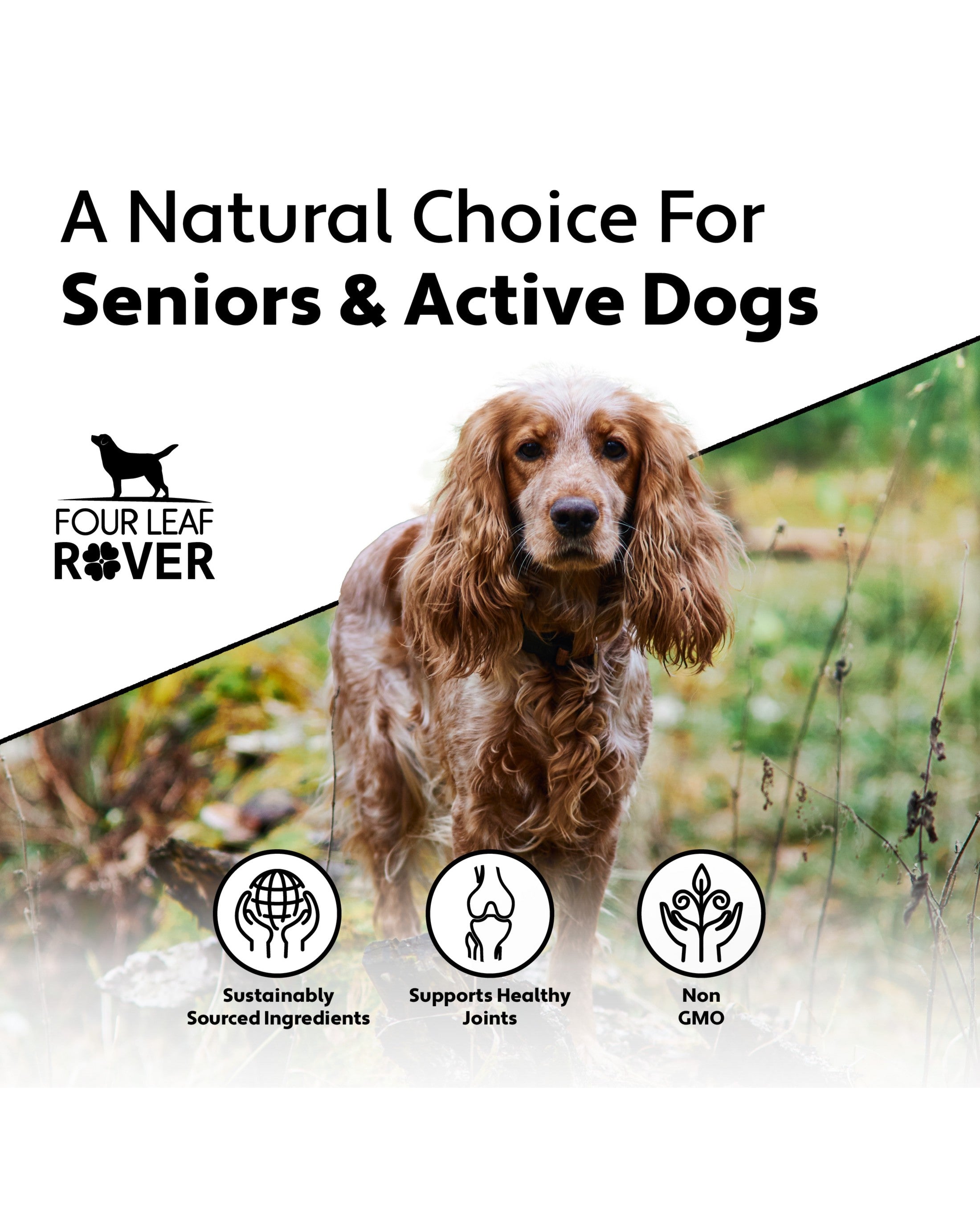 Hip & Joint - Natural Joint Support