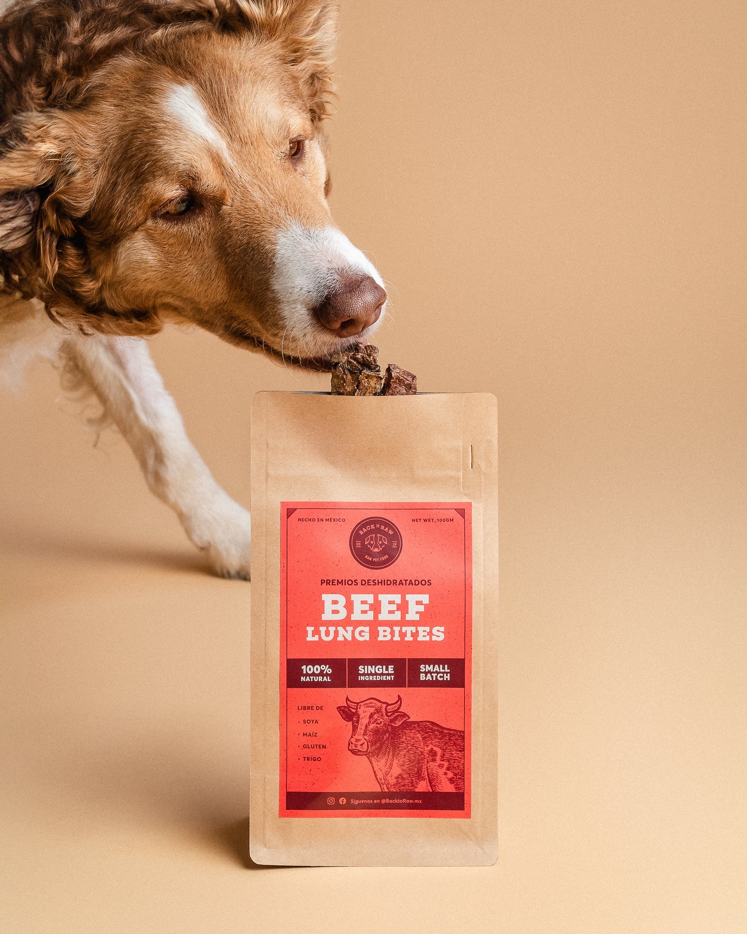 Bites & Chips (Promo 35% Off)