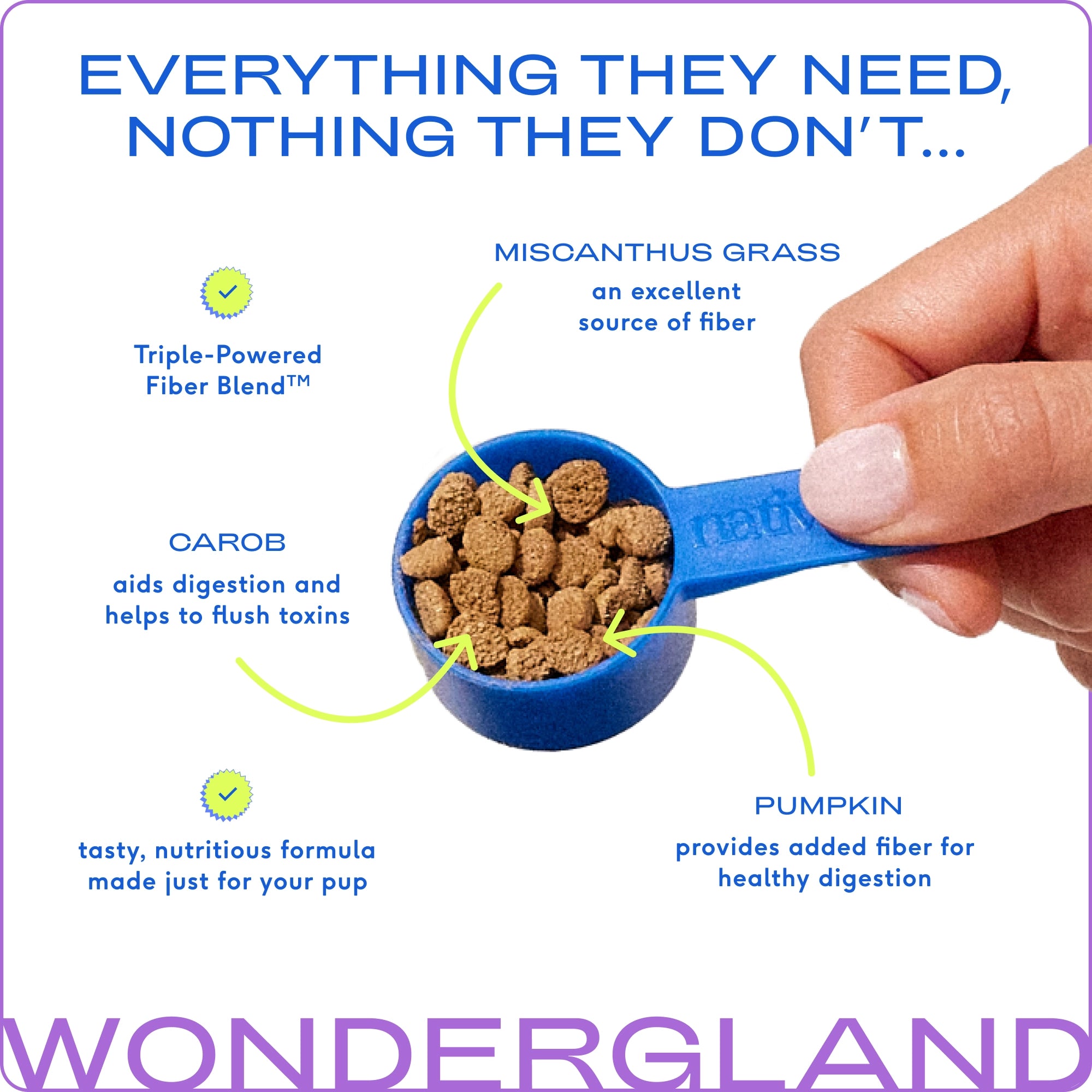Wondergland Supplement