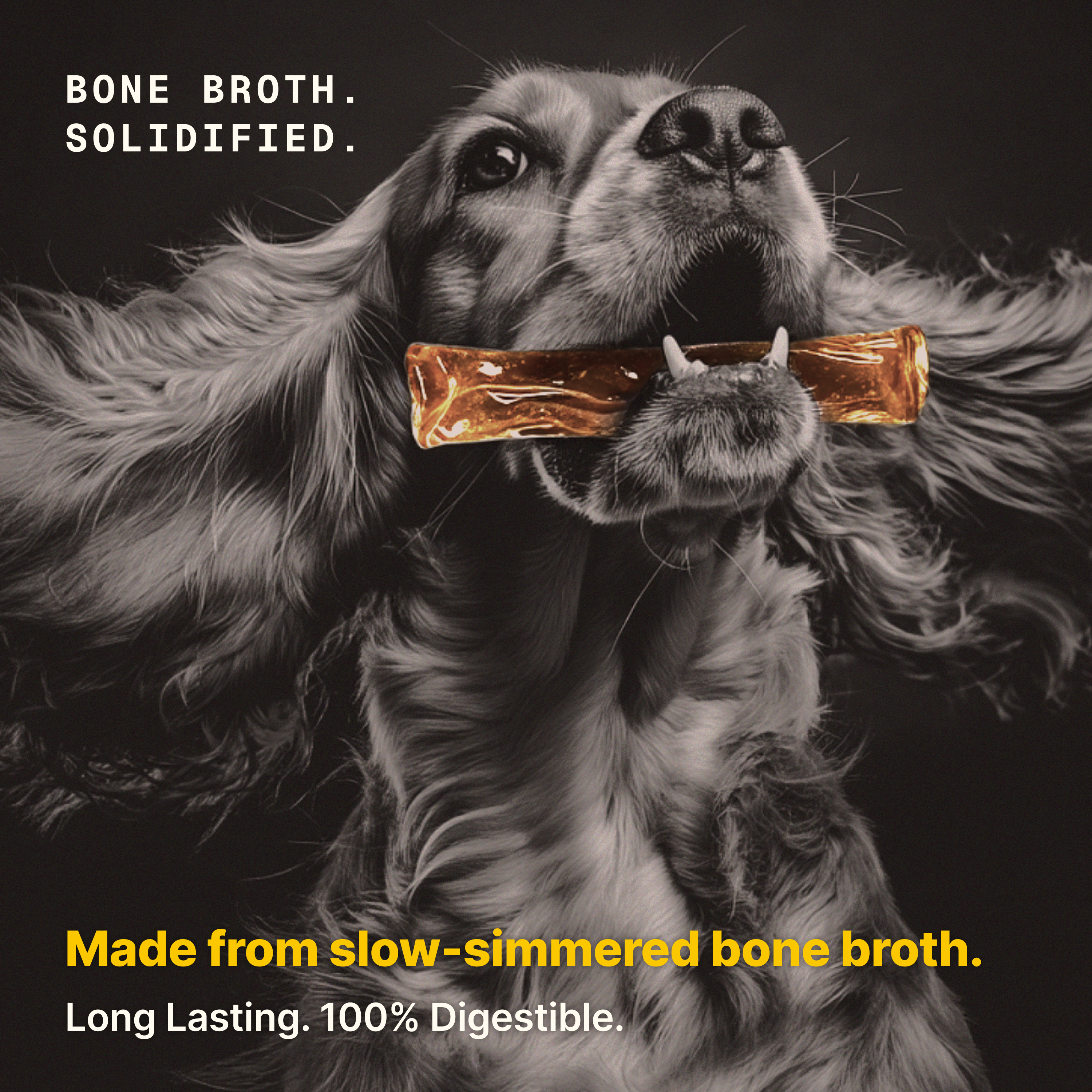 The Bone Broth Chew
