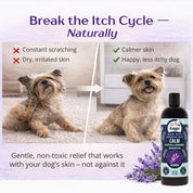 CALM Organic Lavender Dog Shampoo with Calendula & St. John's Wort