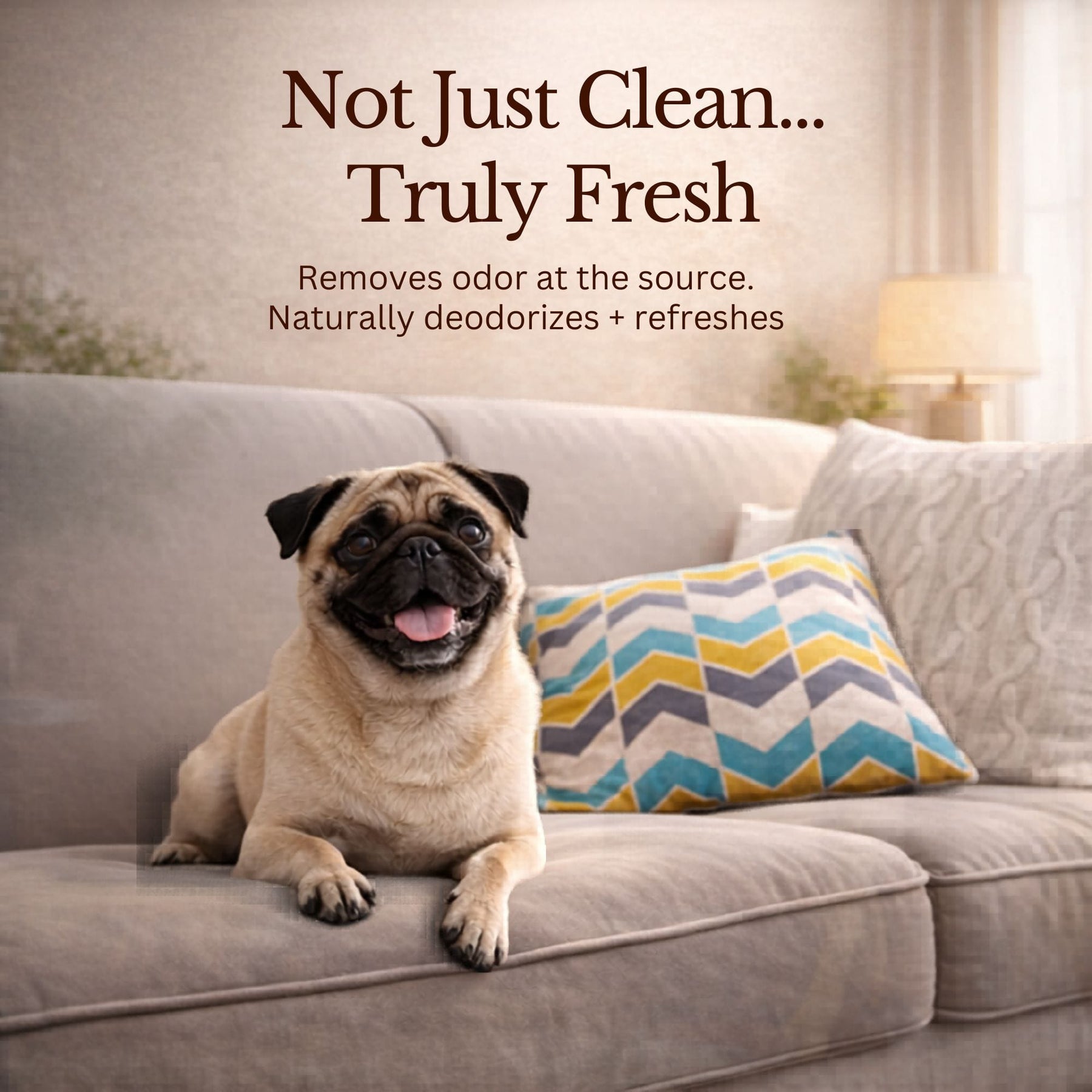 Organic Cedar Dog Shampoo — Natural Flea Defense
