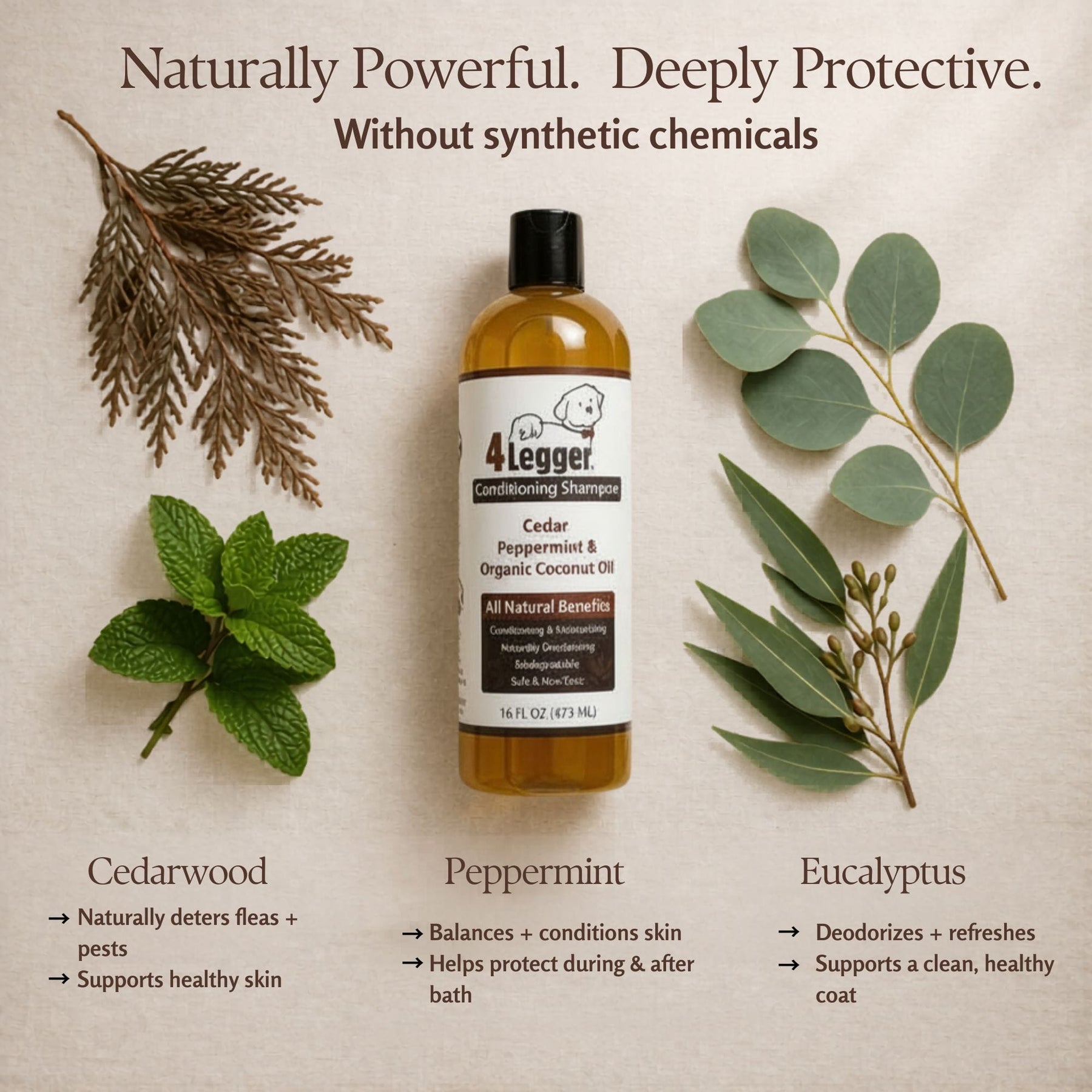 Organic Cedar Dog Shampoo — Natural Flea Defense