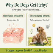Organic Lemongrass & Aloe Hypoallergenic Dog Shampoo