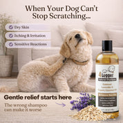 Organic Oatmeal Dog Shampoo with Lavender & Aloe for Itchy Skin