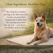 COOLING Organic Tea Tree & Peppermint Dog Shampoo