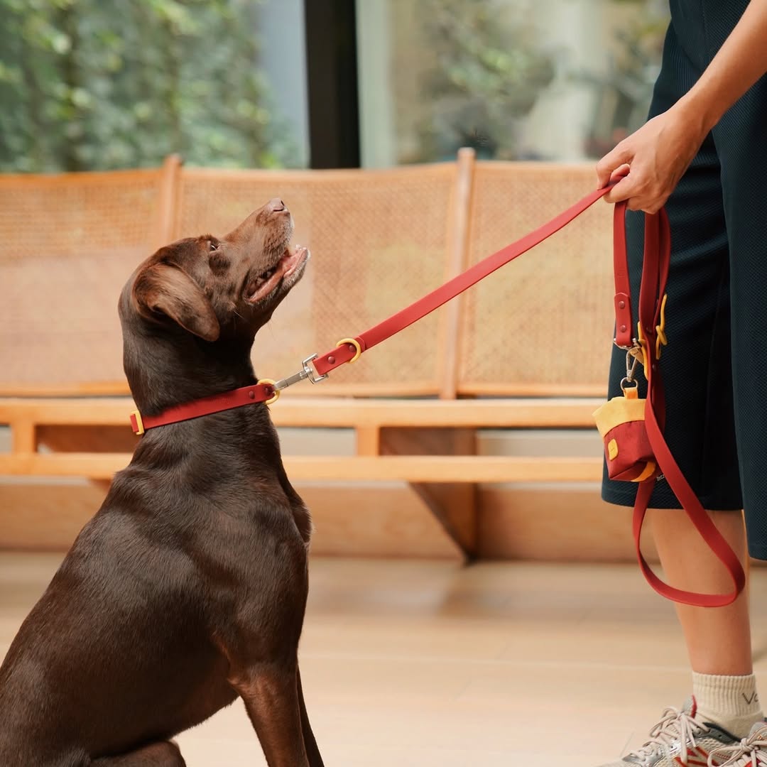 The Fritz Leash