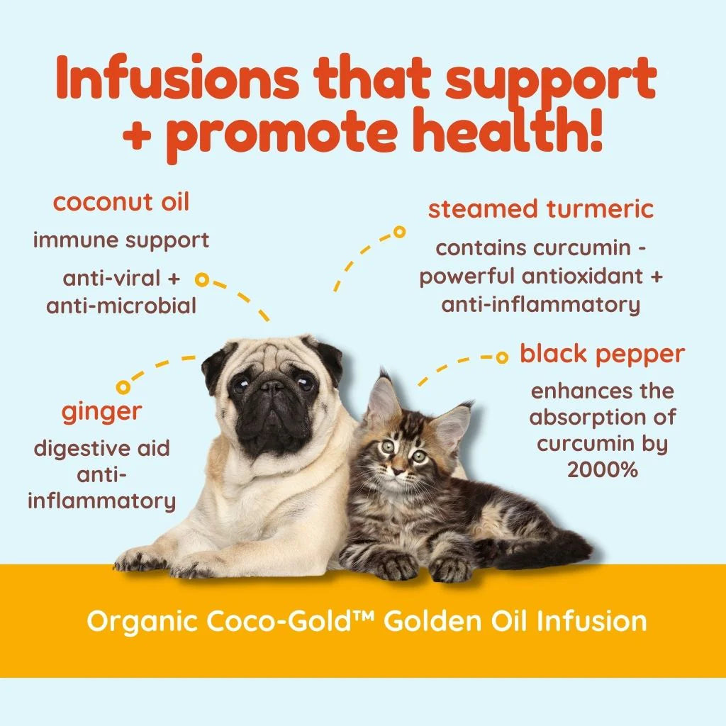 Coco-GoldHealthBenefits_3000x_6694c214-fdaf-4c44-9e10-ffb3bde6a4ad.webp