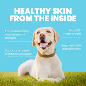 Harmony - Natural Skin Care