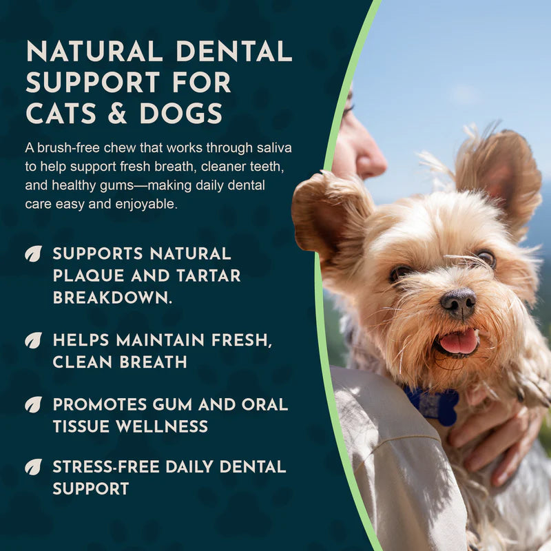 Sea-Dent Dental Support Herbal Soft Chews