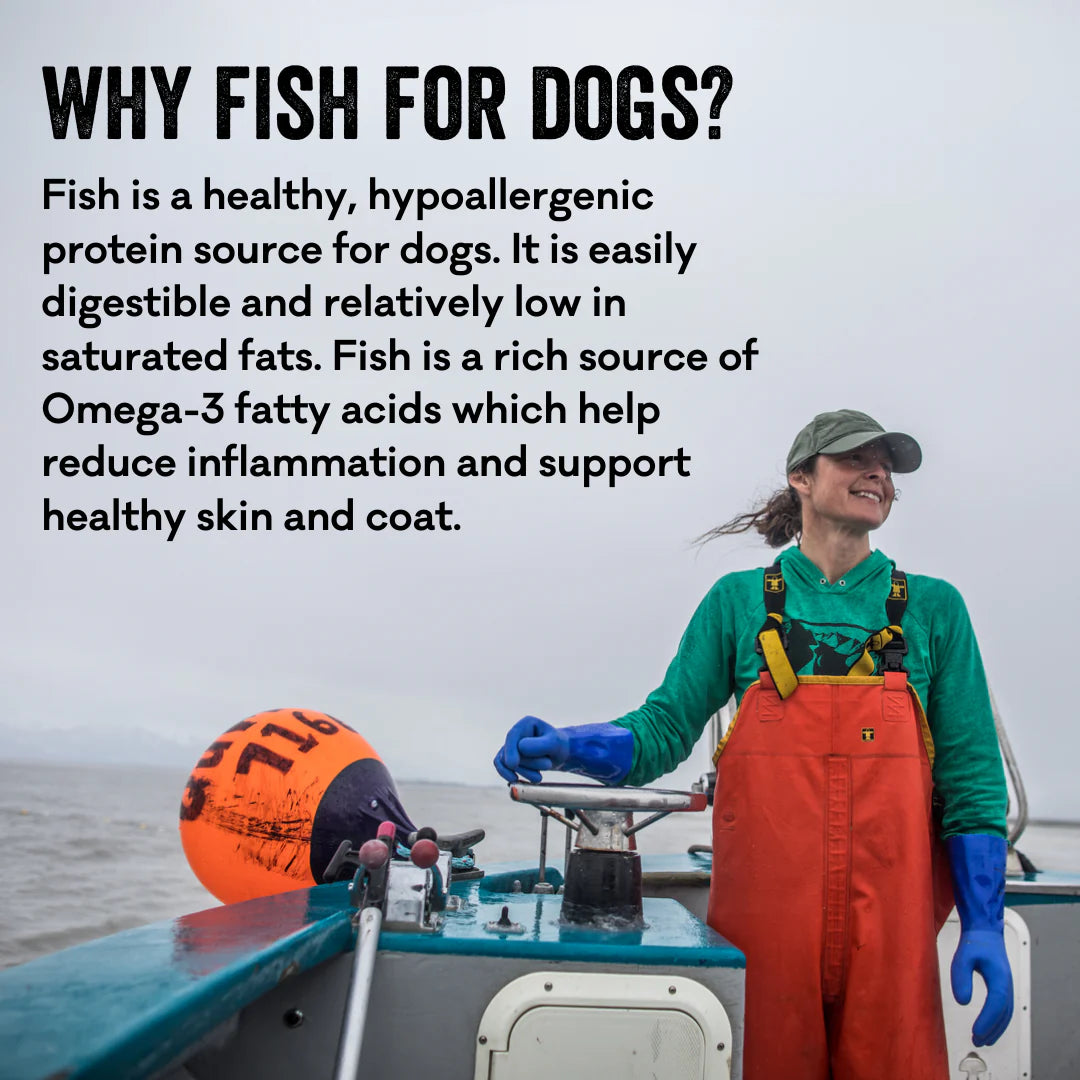 Polkadog Salmon Says