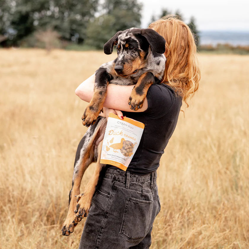 GJJ-Duck-Freeze-Dried-Whole-Food-Bites.webp