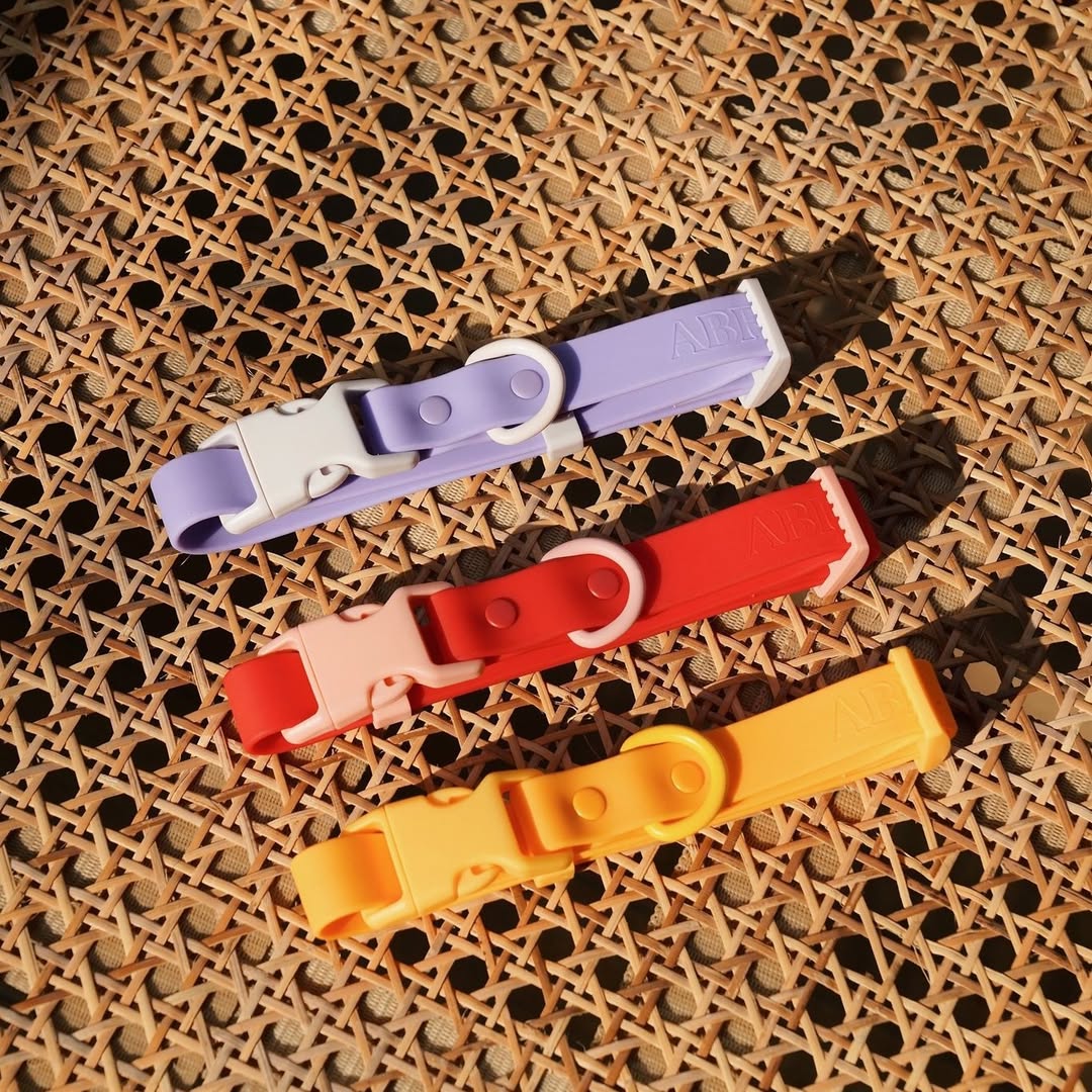 Fritz Collar + Leash Walk Set