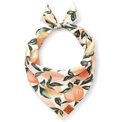 Peaches & Cream Dog Bandana