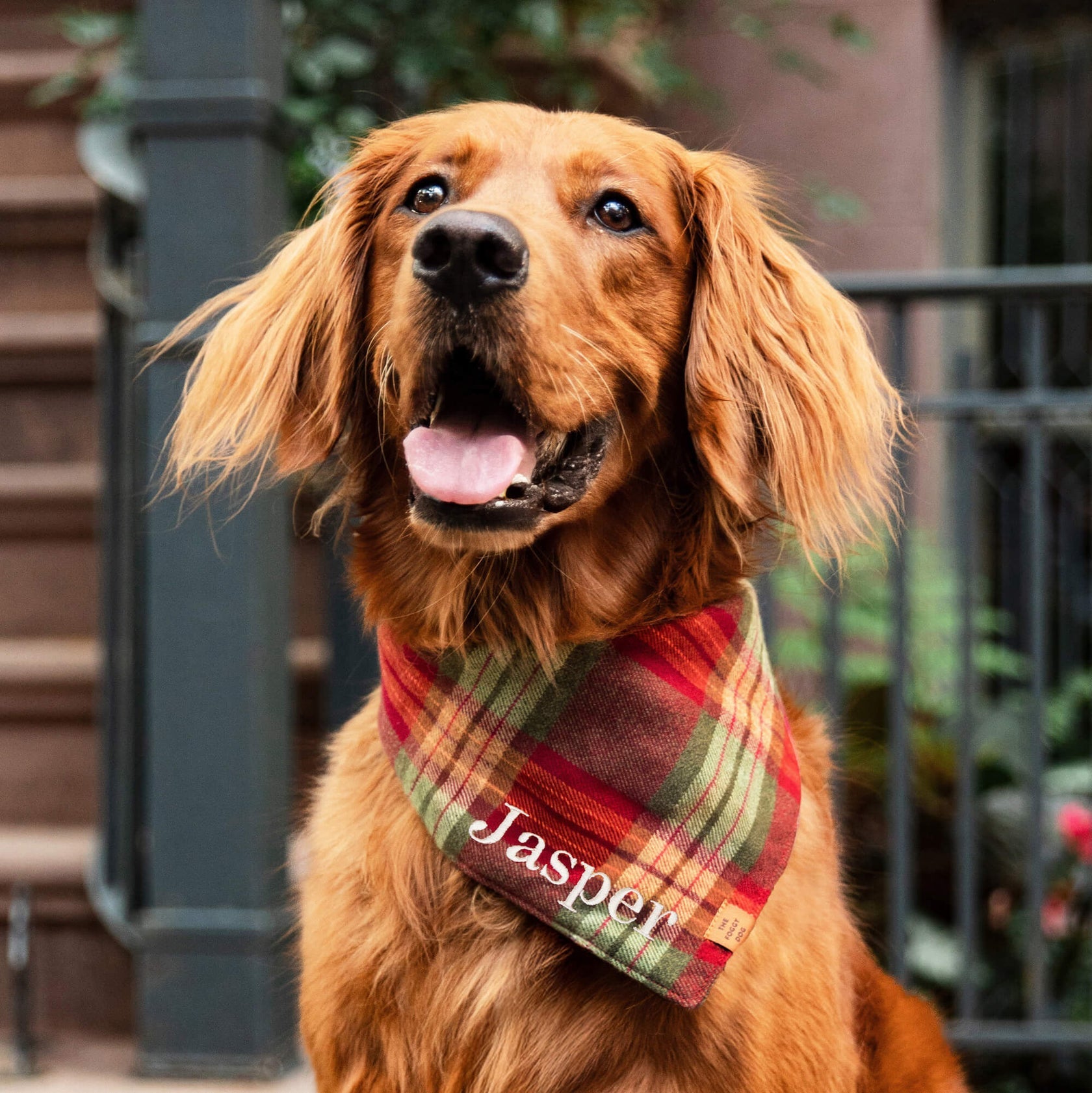 Orchard Plaid Flannel Dog Bandana