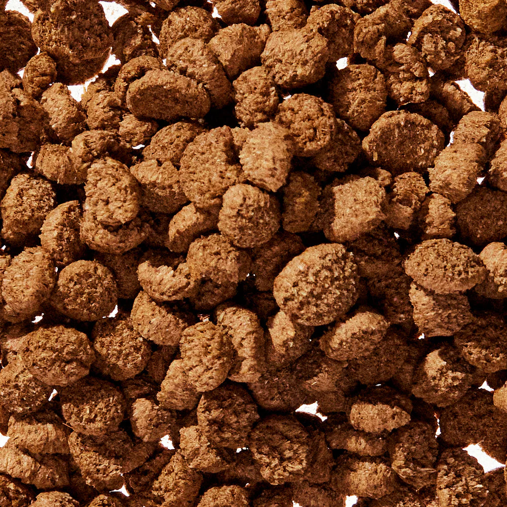 Wondergland Supplement