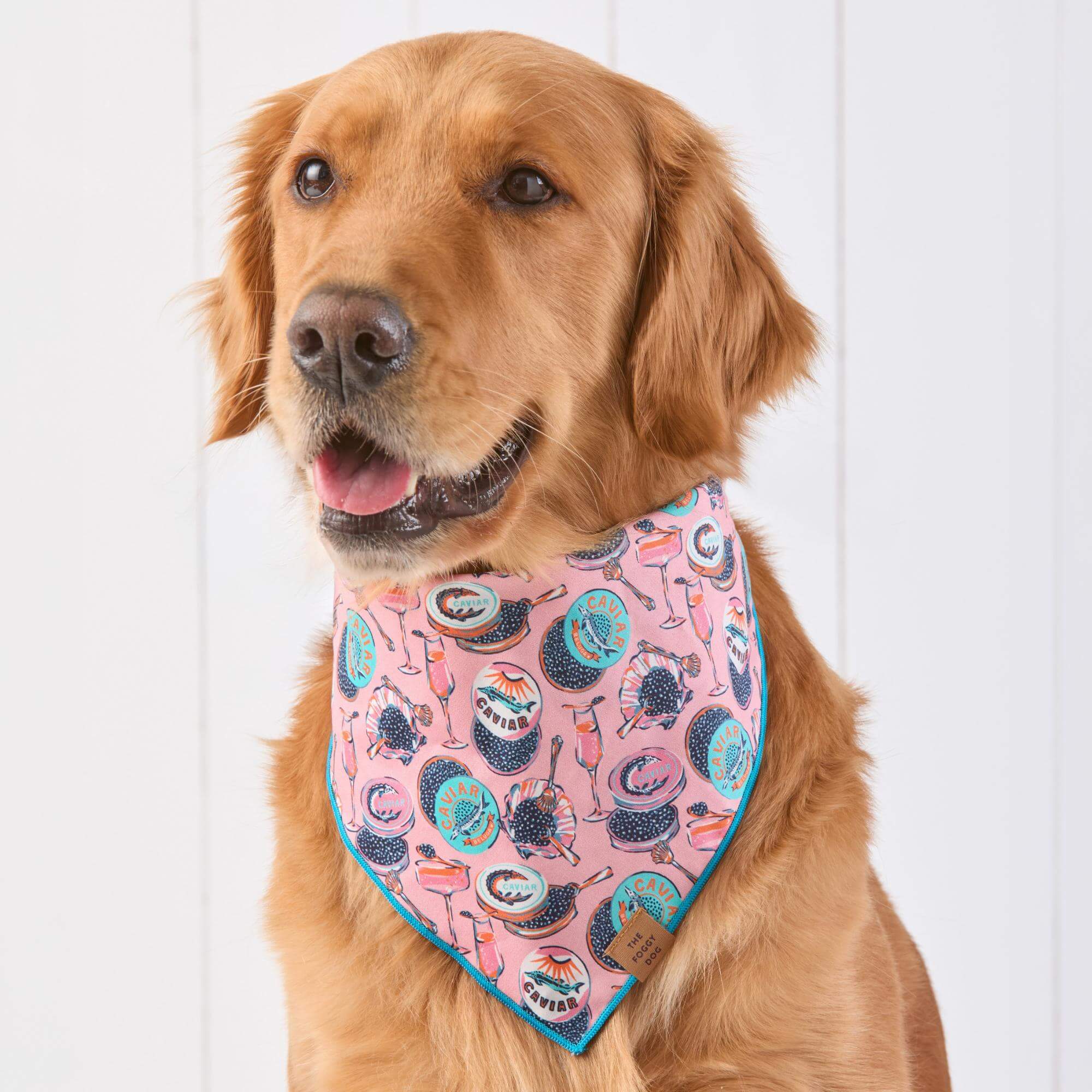Champagne and Caviar Dog Bandana