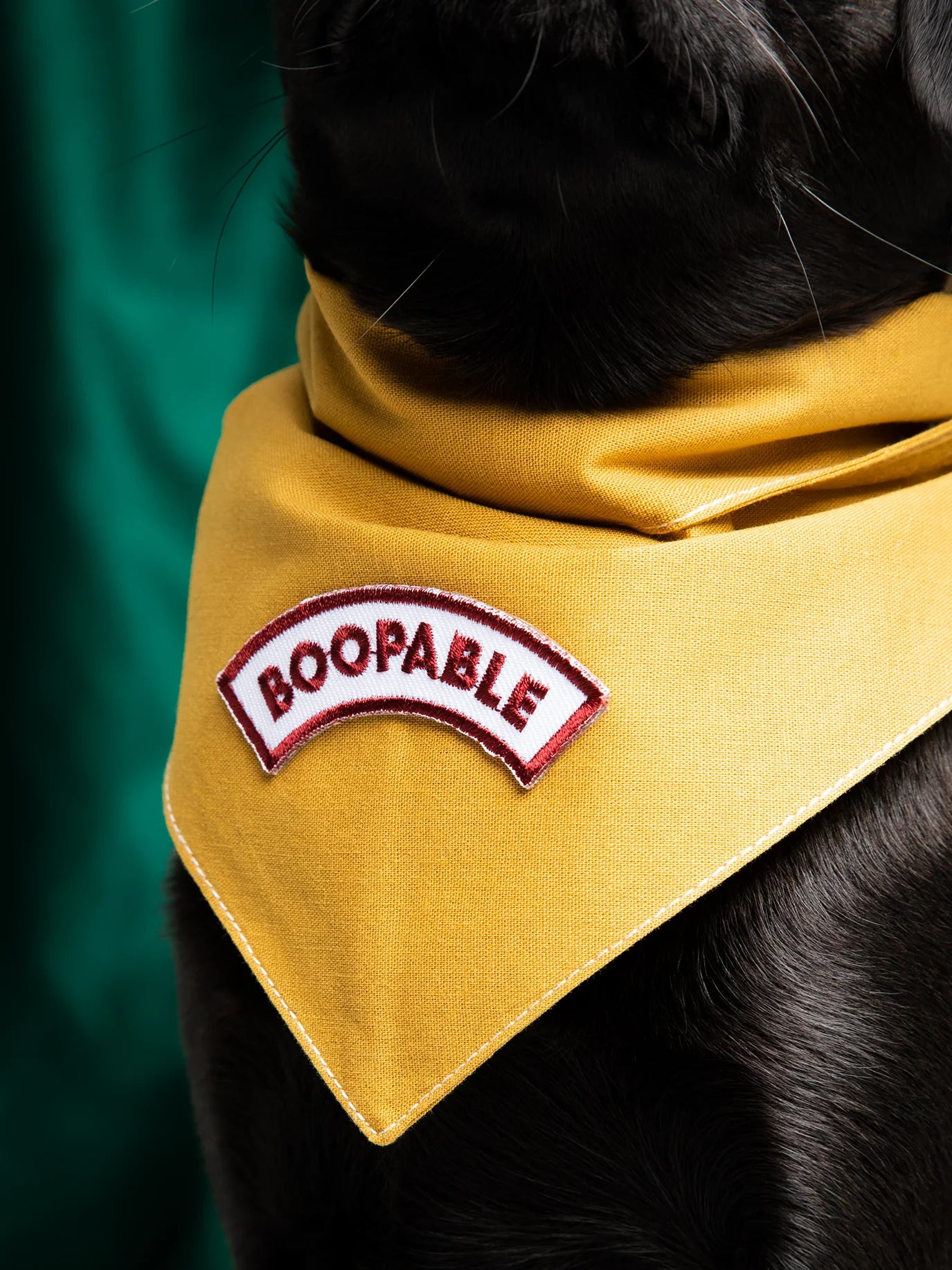 SH_Boop_Zoom.webp
