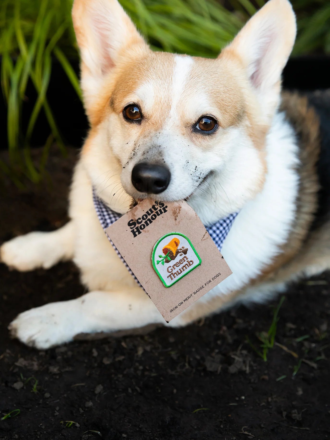 Green Thumb (iron-on patch)