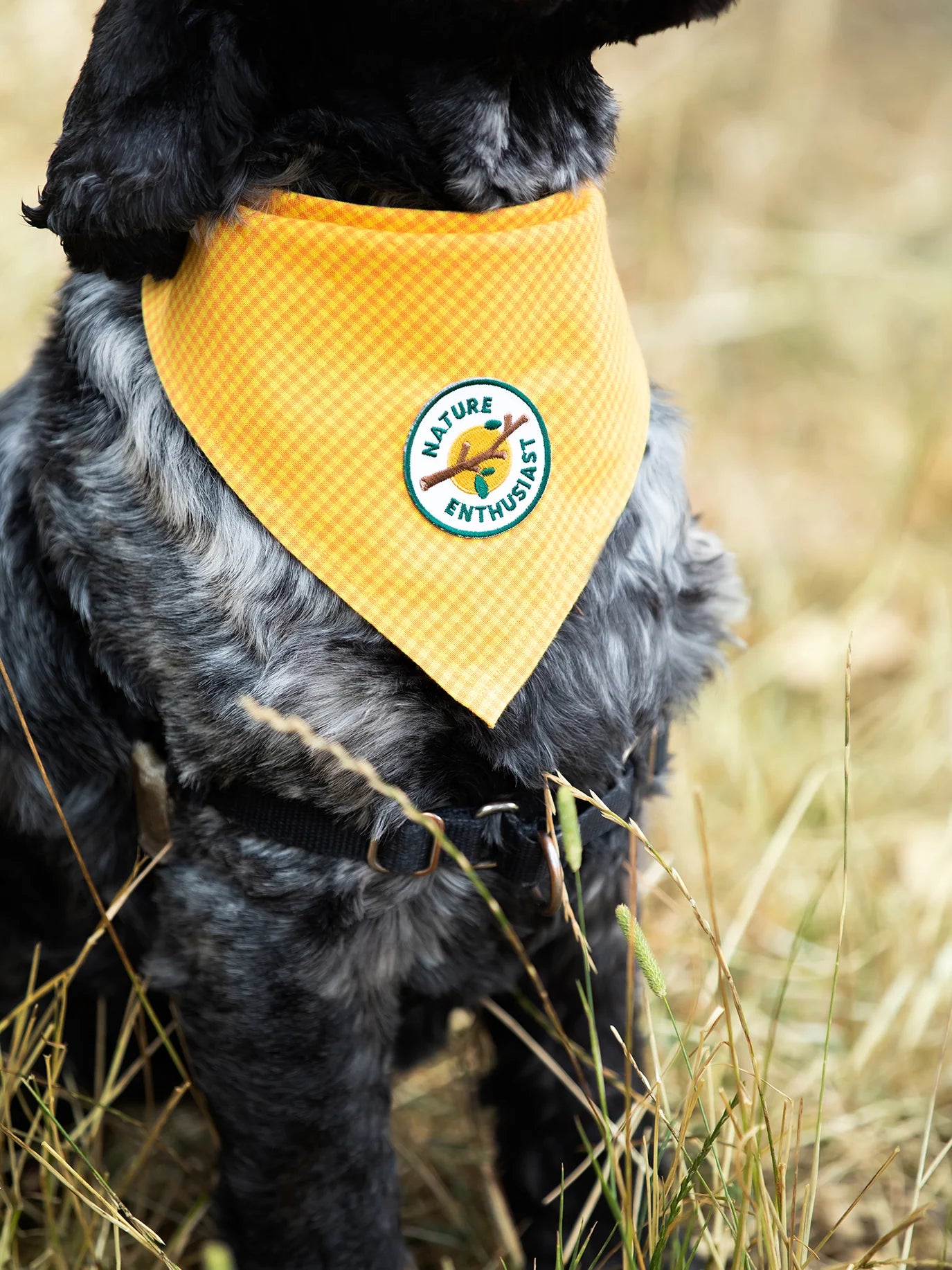 Nature Enthusiast (iron-on patch)