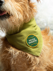 Fetch Fanatic (iron-on patch)