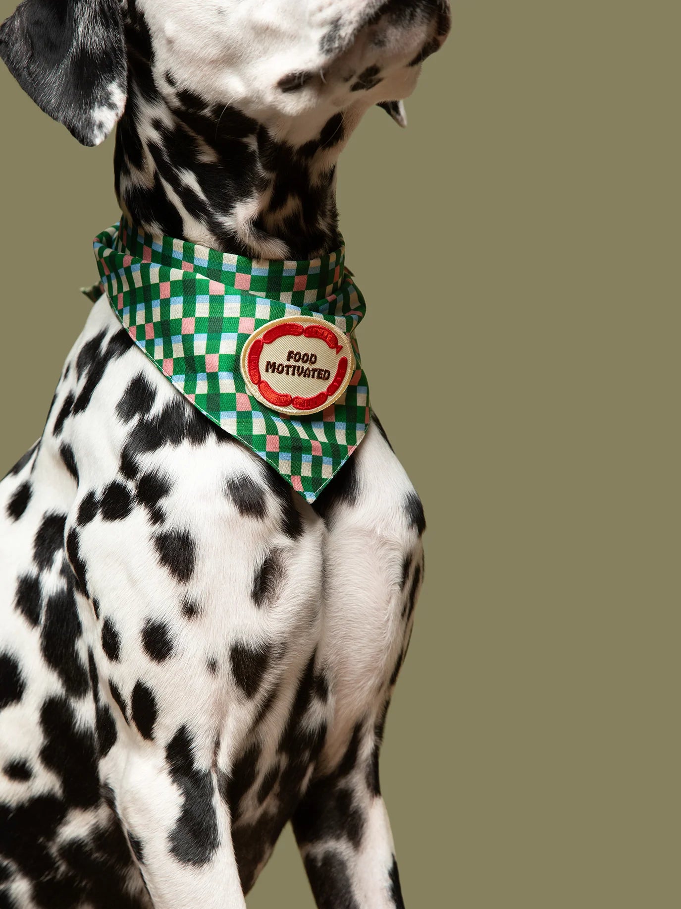 Food Motivated (iron-on patch)