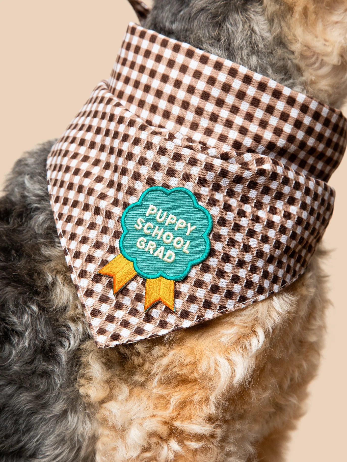 Puppy School Grad (iron-on patch)