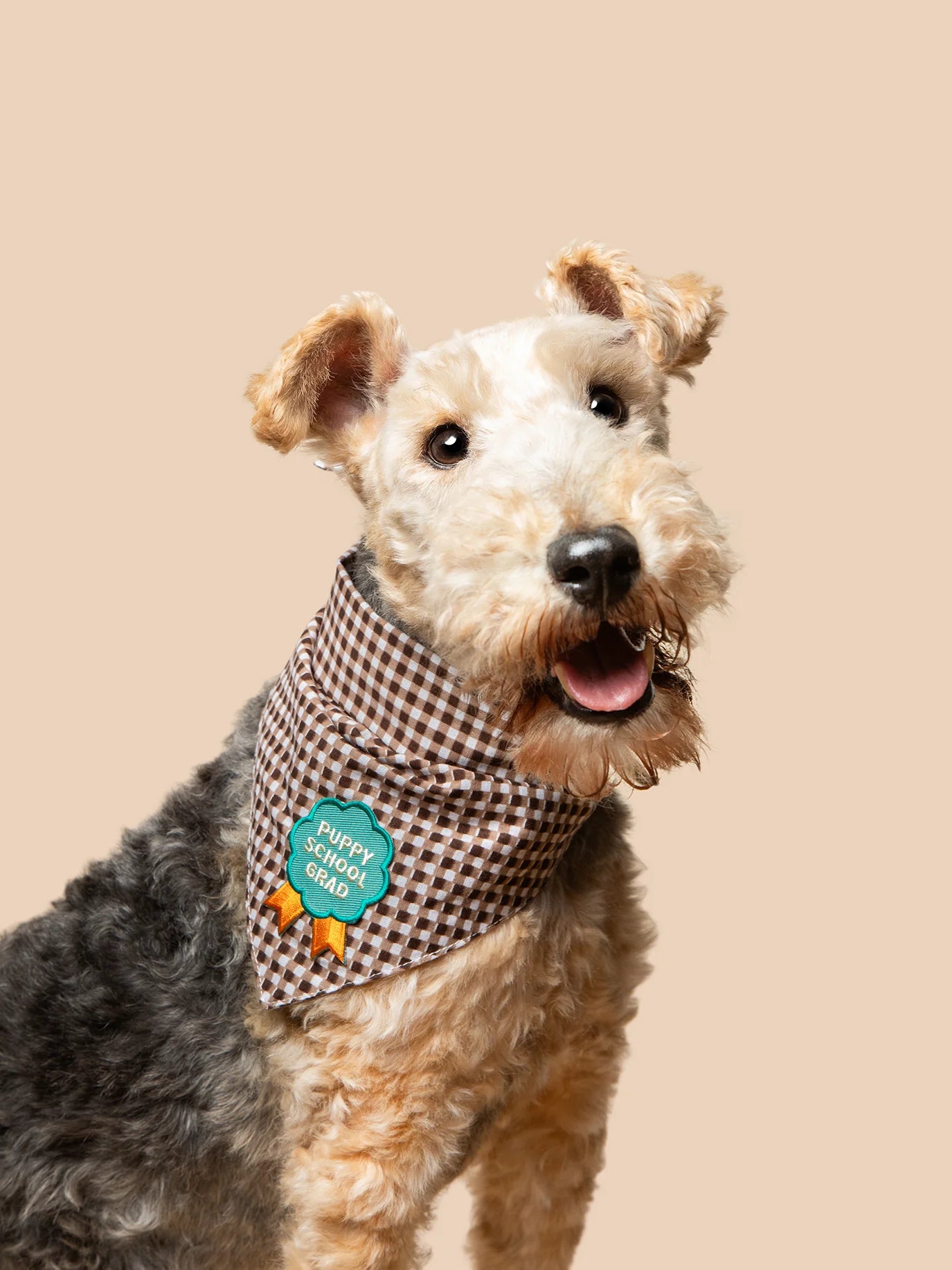 Puppy School Grad (iron-on patch)