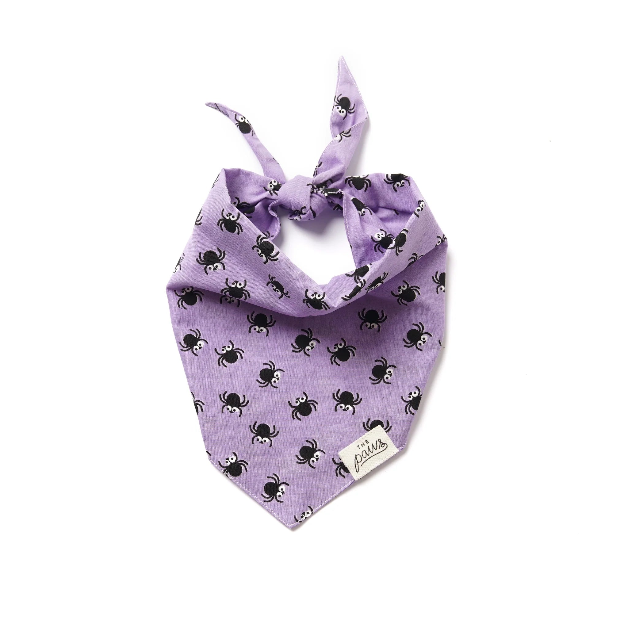 SpidersDogBandana-ThePaws_2048x2048_cf684282-5de7-426d-b855-61ebefa3e6c4.webp