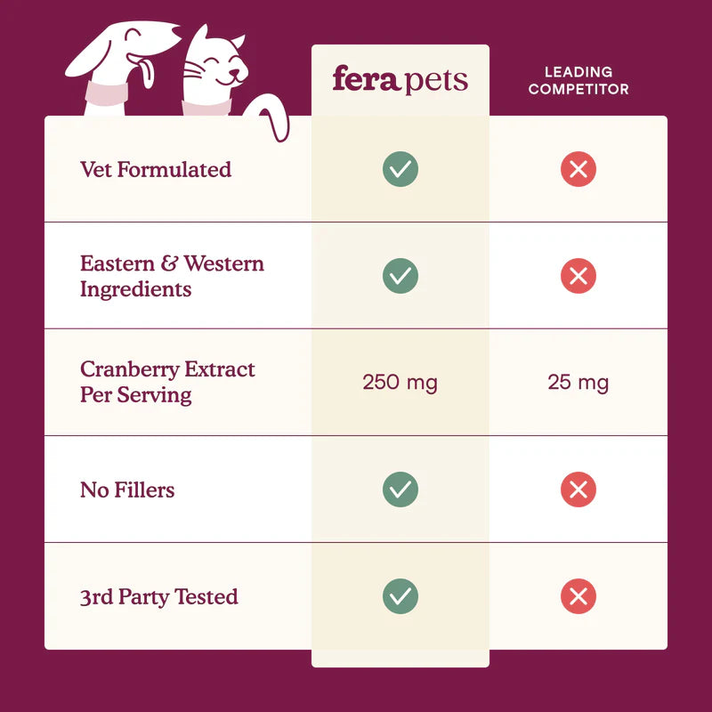 Bladder Support for Dogs and Cats