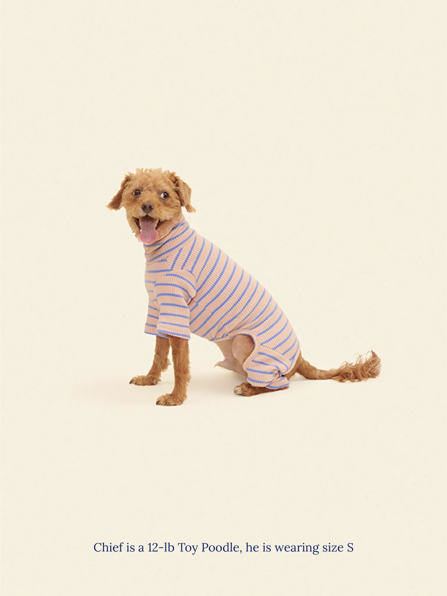 Onesie