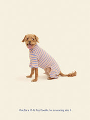 Onesie