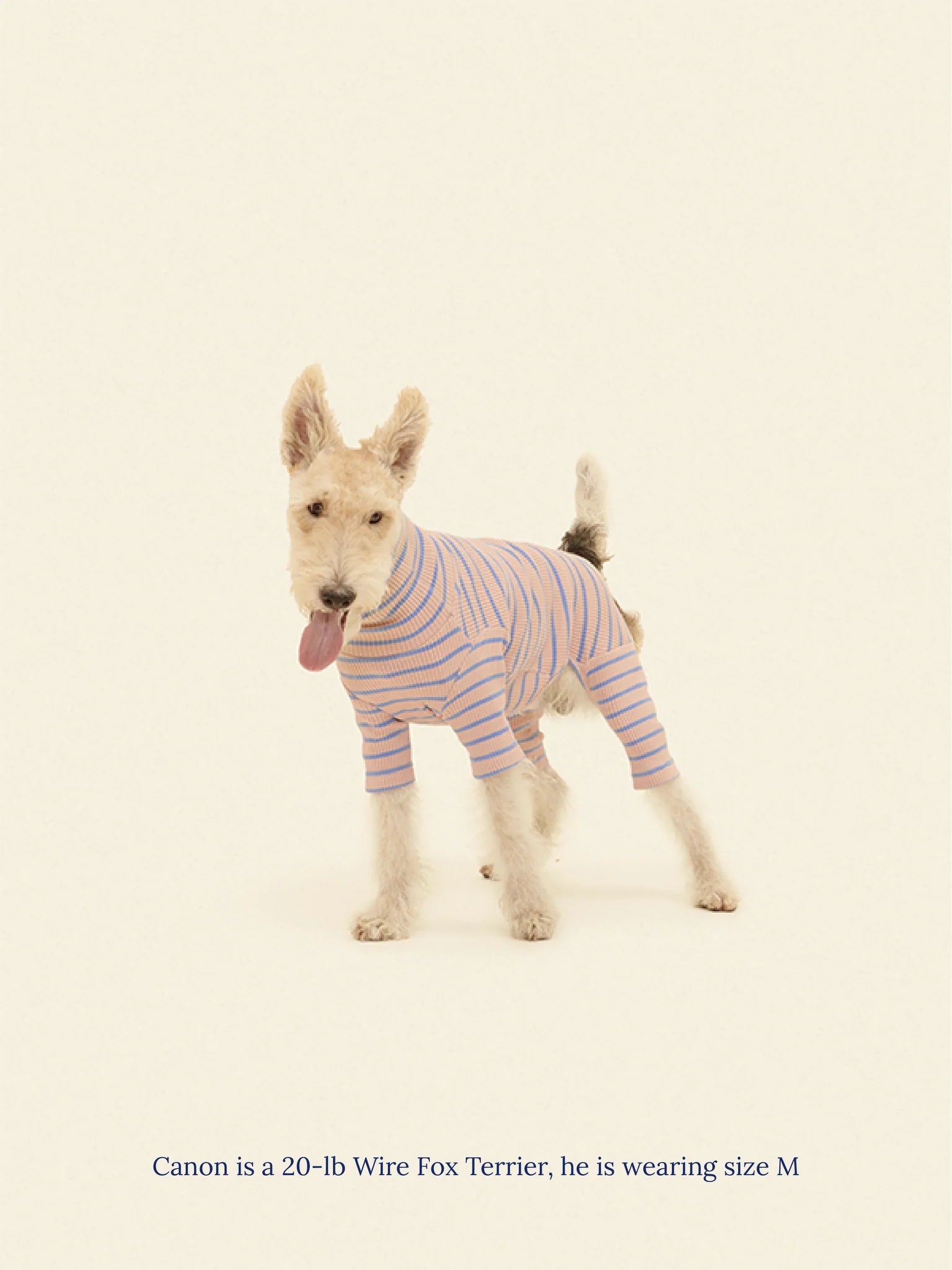 Onesie