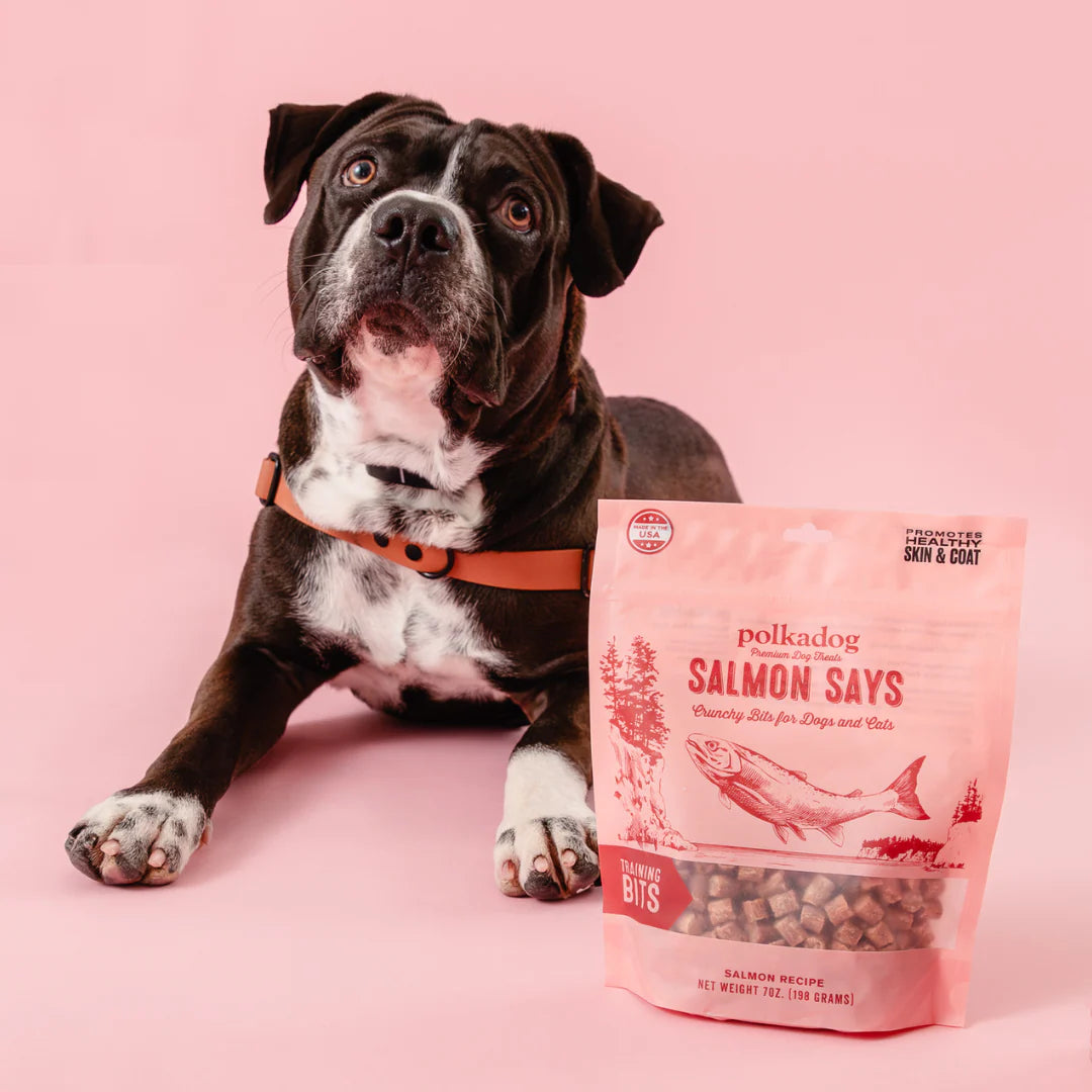 Polkadog Salmon Says