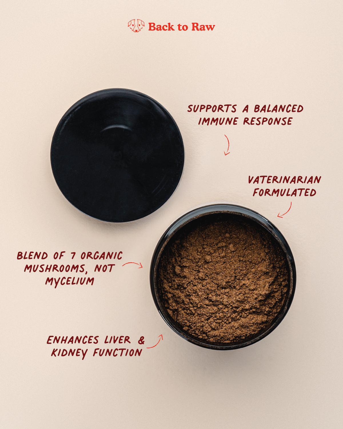 Seven 'Shrooms - Organic Mushroom Mix